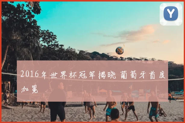 2016年世界杯冠军揭晓 葡萄牙首度加冕
