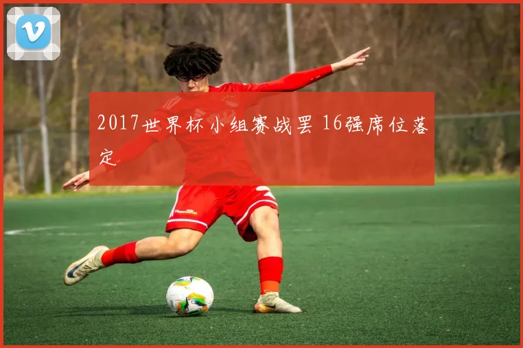 2017世界杯小组赛战罢 16强席位落定