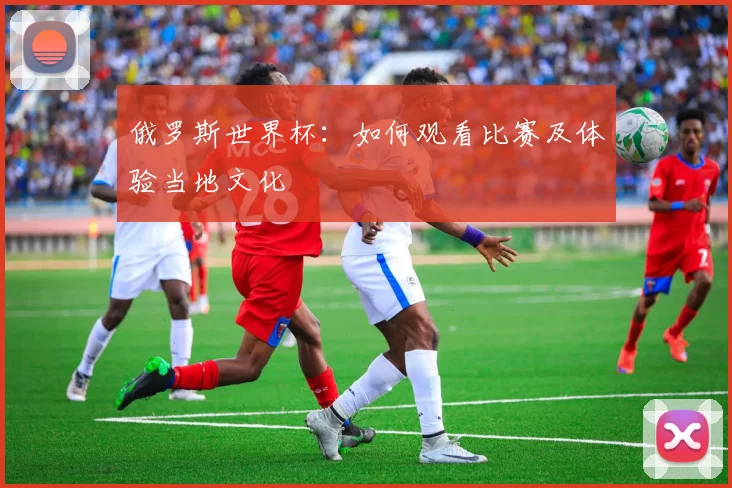 俄罗斯世界杯:如何观看比赛及体验当地文化