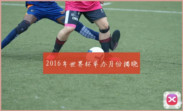 2016年世界杯举办月份揭晓